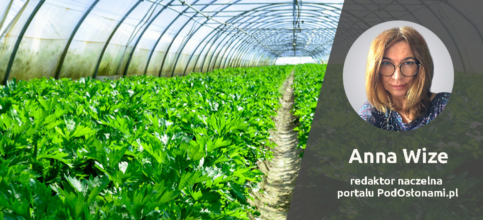 Wywiad z Anną Wize o programie konferencji „Pod osłonami. Uprawy w szklarniach, tunelach i w pomieszczeniach – największe obecne zagrożenia w ochronie roślin, przyszłość ochrony – ‘bez pozostałości’”. Wywiad z Anną Wize o programie konferencji „Pod osłonami. Uprawy w szklarniach, tunelach i w pomieszczeniach – największe obecne zagrożenia w ochronie roślin, przyszłość ochrony – ‘bez pozostałości’”.